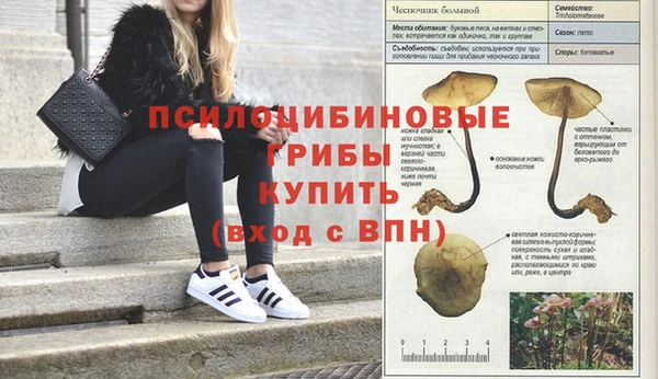каннабис Беломорск