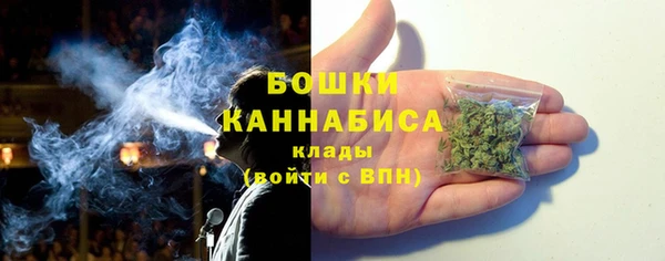 mdpv Богородицк
