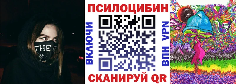 Купить где  Нелидово  Псилоцибиновые грибы GOLDEN TEACHER 